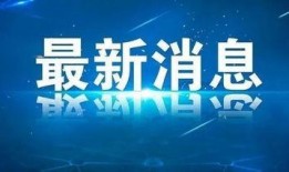 菏泽爆料新闻事件视频,揭秘背后真相