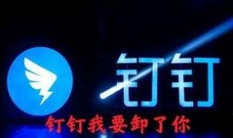 晶晶体验服最新爆料,揭秘神秘技能与全新玩法